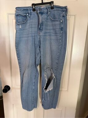 Light Blue Distressed Madewell perfect vintage Jean
